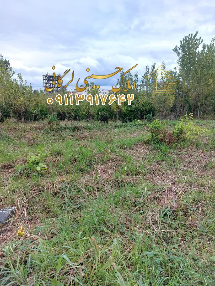 فروش زمین 300 متر دونبش داخل بافت در 45 متری چالوس