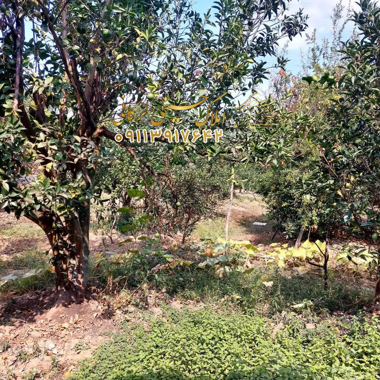 معاوضه  و فروش ویلا با2000 متر زمین و با سند تهاتر با آپارتمان در چالوس و نوشهر