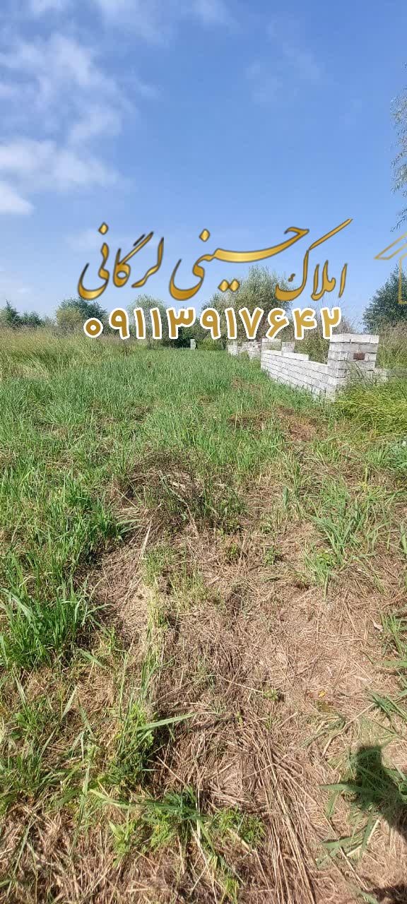 فروش زمین6500متری بهترین گزینه سرمایه گذاری در هچرود چالوس