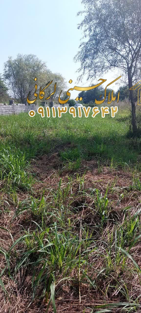 فروش زمین6500متری بهترین گزینه سرمایه گذاری در هچرود چالوس