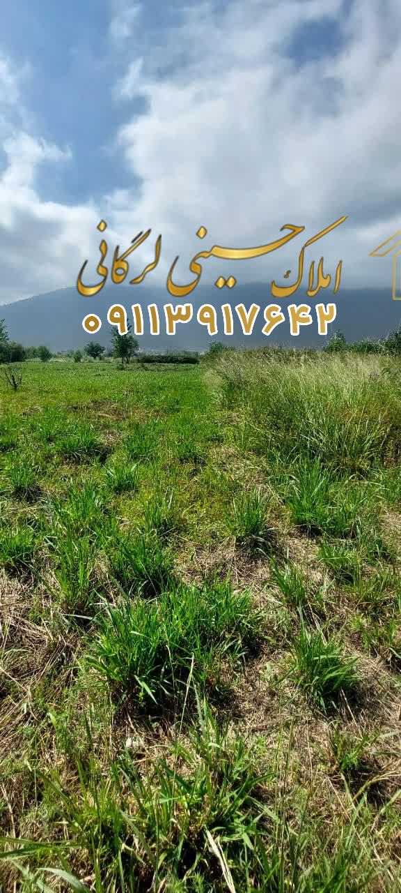 فروش زمین6500متری بهترین گزینه سرمایه گذاری در هچرود چالوس