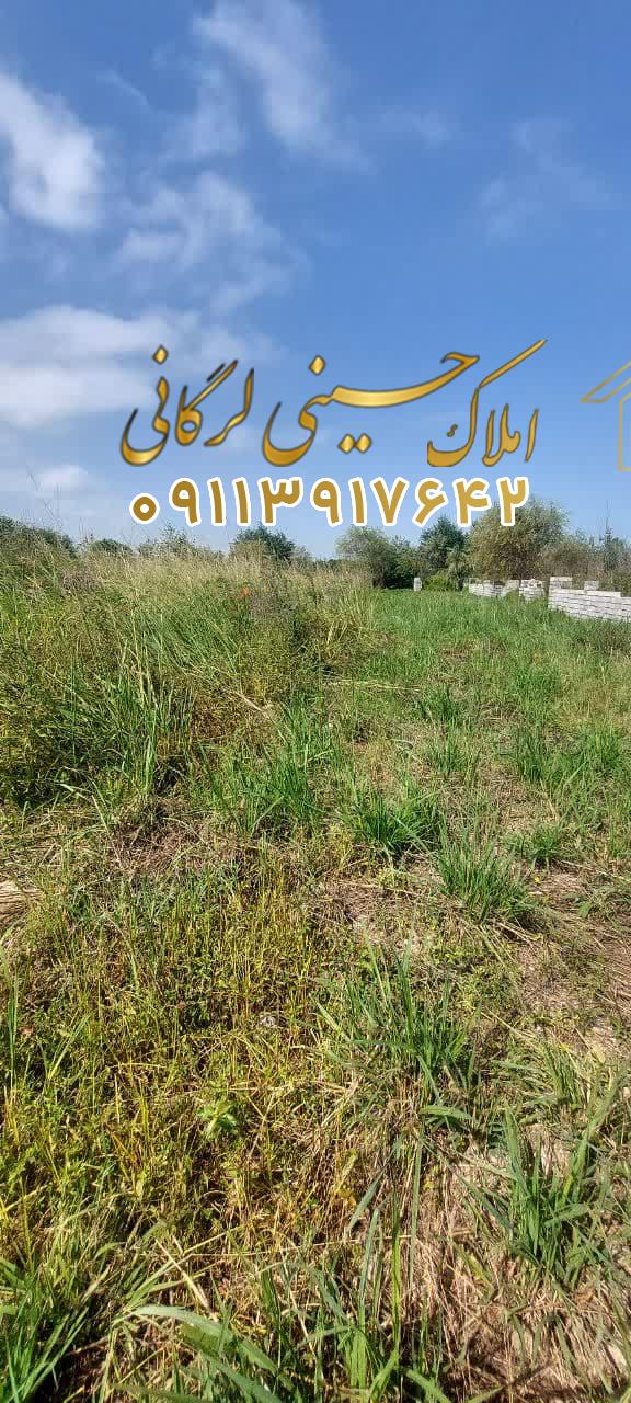 فروش زمین6500متری بهترین گزینه سرمایه گذاری در هچرود چالوس