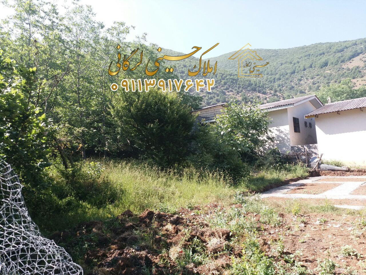 فروش زمین ییلاقی به متراژ ۲۵۰متر در لرگان کجور