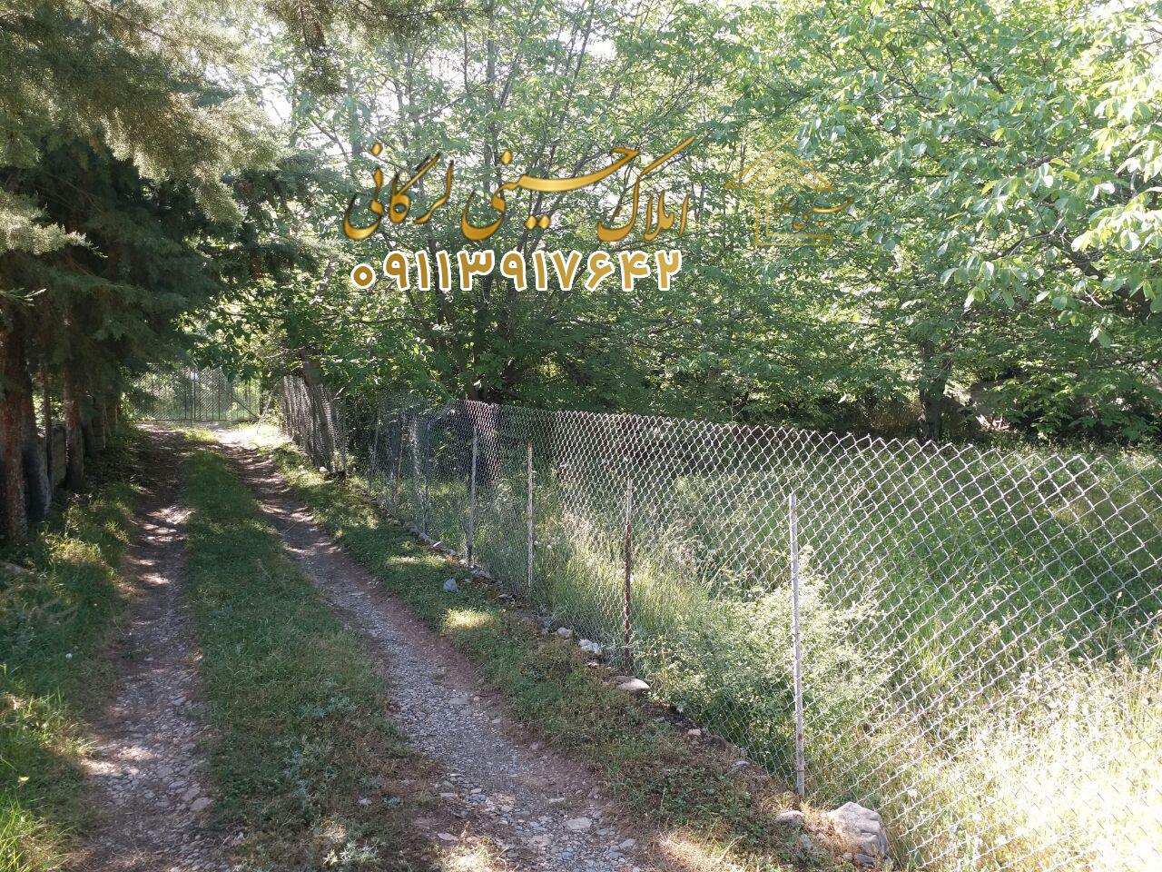 فروش زمین ییلاقی به متراژ ۲۵۰متر در لرگان کجور